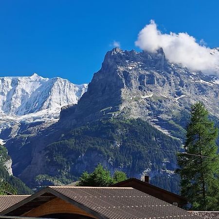 Chalet Engi Apt 1 For Up To 8 People Γκρίντελβαλντ Εξωτερικό φωτογραφία