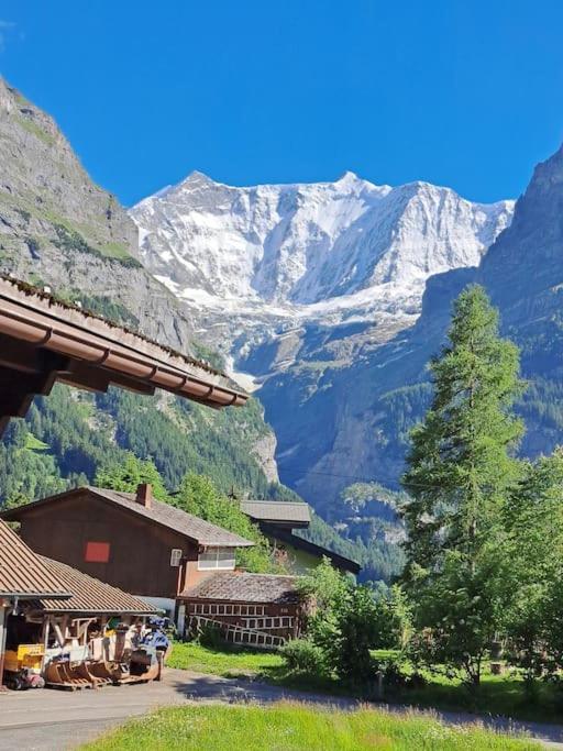 Chalet Engi Apt 1 For Up To 8 People Γκρίντελβαλντ Εξωτερικό φωτογραφία