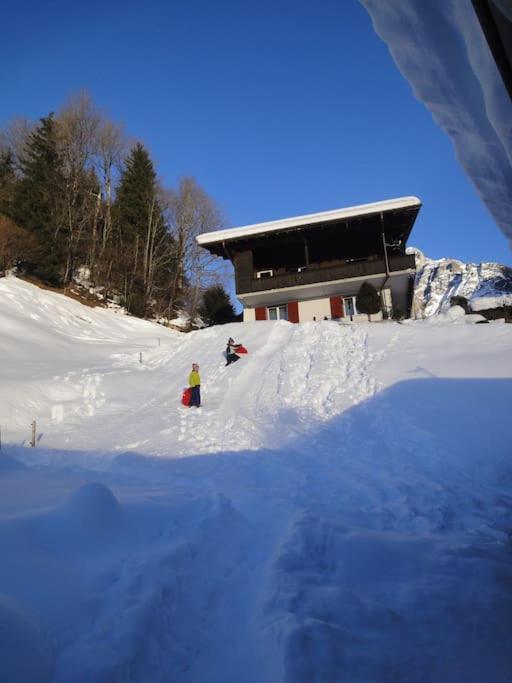 Chalet Engi Apt 1 For Up To 8 People Γκρίντελβαλντ Εξωτερικό φωτογραφία